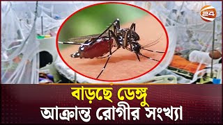 বিভিন্ন হাসপাতালে বাড়ছে ডেঙ্গু আক্রান্ত রোগীর সংখ্যা  Dengue BD  Channel 24 [upl. by Gan]