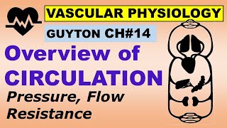 Physiology Guyton Ch14  Overview of Circulation  Pressure Flow and Resistance  Dr Asif Lectures [upl. by Rancell]