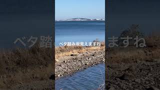 松江市本庄の弁慶島🏝️ [upl. by Llerrehs]