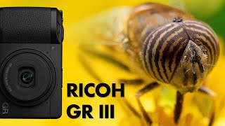 Ricoh GR III Review and Macro Photography [upl. by Lemmuela]