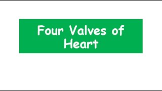 four valves of the heart heart valves anatomy biology [upl. by Haisi]