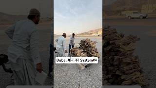 Dubai gaon ka system dubailife reel shortvideo shortsviral reelsvideo [upl. by Bohrer]