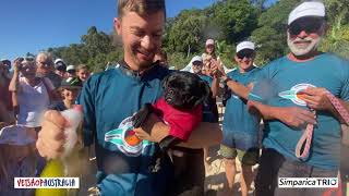 2021 VetShopAustralia Surfing Dog Championships  Sponsored by Simparica Trio [upl. by Hakvir]