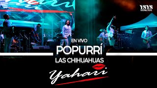 Yahari  Popurrí Las Chihuahuas En Vivo [upl. by Lederer]