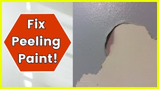 How To Fix Peeling Paint On Walls [upl. by Viviene]