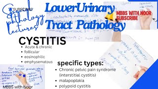 acute and chronic cystitis pathology  types of cystitis  bladder pathology  selflessmedicose [upl. by Frohman]