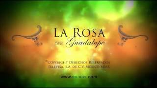 La Ros De Guadalupe Recobrar La Confianza [upl. by Becky757]