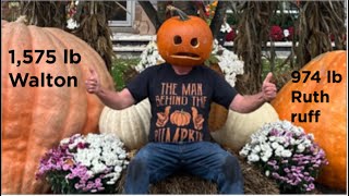 Giant Pumpkin 🎃 20 year history of seeds [upl. by Nam541]