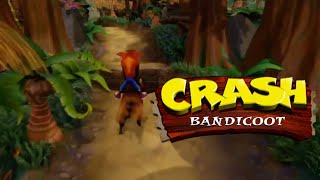 Crash Bandicoot HOG WILD [upl. by Drawdesemaj]