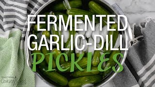 Old Fashioned LactoFermented Garlic Dill Pickles [upl. by Ardnaik]