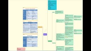 Neoplasia LEC 2 شرح بالعربي [upl. by Datnow]