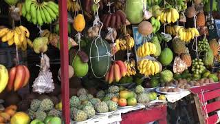 This is Jamaica Fruit Stand [upl. by Ahsropal]