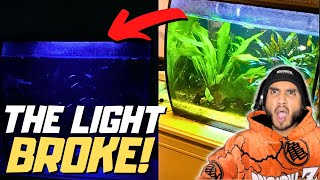 How to Change the Light on the FLUVAL FLEX [upl. by Quintana187]