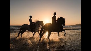 Alice aux pays des merveilles CHEVAL AGADIR RANCH ACIENDA horsebackriding horsebackriding1week [upl. by Haland]