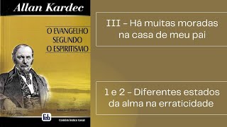 Diferentes estados da alma na erraticidade  O Evangelho Segundo o Espiritismo [upl. by Gievlos717]