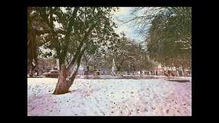 Nevada en Monterrey Enero 9 de 1967 Monterrey Antiguo [upl. by Rehpotsirc]