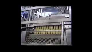 Presse ed estrusori per pasta  Pasta extruders  Moriondo [upl. by Secor890]