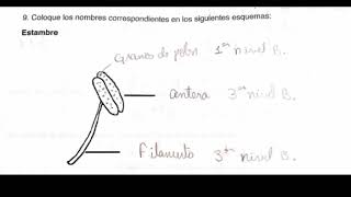 BIO018 UASD PRÁCTICA 4  Manual de laboratorio de biología basica [upl. by Eelyma]