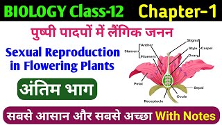 12th bio  class 12 sexual reproduction in flowering plants in hindi  पुष्पीय पौधों में लैंगिक जनन [upl. by Attegroeg]