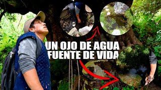 Encontramos LA FUENTE DE LA VIDA oculto en un bosque de Pinos en Huancavelica ¡UN OJO DE AGUA [upl. by Euqimod]