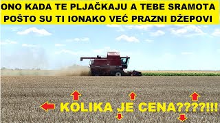 Jako rana žetva stočnog ječma [upl. by Lleuqar608]