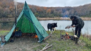 3 DAYS solo survival Caught in a STORM with My Dog FISH Catch and Cook BUSHCRAFT Winter CAMPING [upl. by Aranahs]