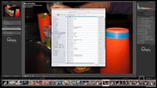 Organizzazione cartelle catalogo in Lightroom [upl. by Thorny]