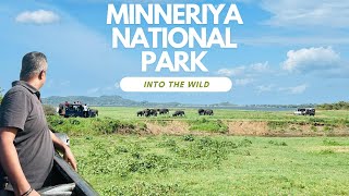 Experience the LARGEST Elephant Gathering in Minneriya National Park [upl. by Pisano]