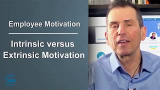 Intrinsic and Extrinsic Employee Motivation Factors [upl. by Carrissa]