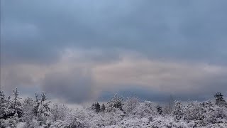 Seule dans la montagne enneigée amp attaque au poulailler [upl. by Kerman]