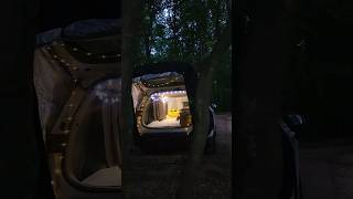 🏕 SOLO CAR CAMPING with TEMU camping carcamping temu shorts [upl. by Adam]