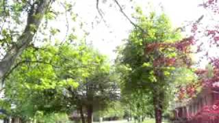 Tornado Sirens Mayfield KY April 26 2011 [upl. by Adachi276]