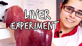 What does the liver do  We The Curious [upl. by Edric]