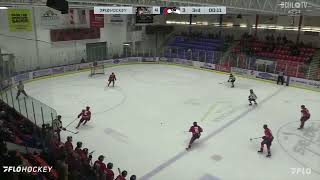 Alberni Valley Bulldogs 4 Cowichan Valley Capitals 3 [upl. by Enomes]