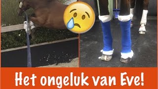 Het ongeluk van Eve  PaardenpraatTV [upl. by Nauqit]