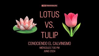 Tema Calvinismo 4 ¿Expiación Limitada o Ilimitada  Pastor Gustavo Zepeda  26 de Junio 2024 [upl. by Derinna]