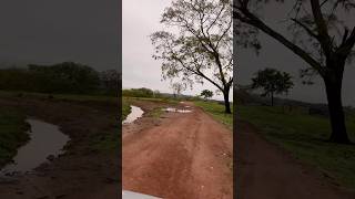 Estradinha de Terra youtube estrada goais vidanocampo shorts short [upl. by Lowndes52]