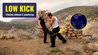 Effective low kick defense amp countering [upl. by Doe]