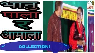 Bhanu and pala collection [upl. by Bazil]