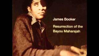 James Booker  Medley Slow DownBony MaronieKnock On WoodGrapevineClassified [upl. by Cailly557]