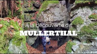 La petite Suisse luxembourgeoise une MERVEILLE  Mullerthal Trail [upl. by Erdda]