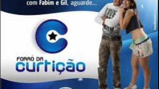 Forró da curtição  Me perdoa Forró das antigas [upl. by Gies]