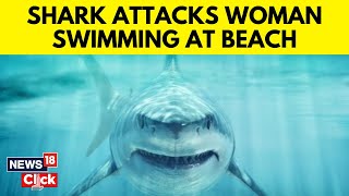 Shark Attack  Jaws Redux  Woman Attacked By Shark In Sydney Harbour  Sydney News  N18V [upl. by Onra685]