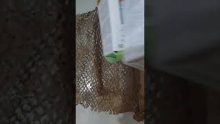 Mamaearth unboxing rice face night cream amp skin correct face serum youtubeshorts  ytshorts [upl. by Samid497]