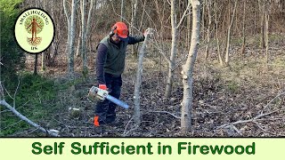 Growing Trees for Firewood  Coppicing  Smallholding UK [upl. by Bruns332]