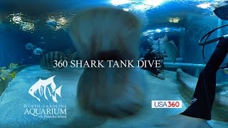 360 Shark Tank Dive [upl. by Yorker]