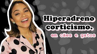 HIPERADRENOCORTICISMO EM CÃES E GATOS [upl. by Lexis]