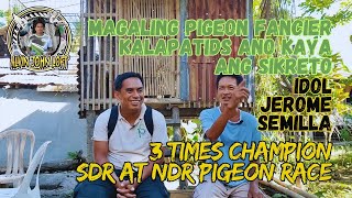 3 times CHAMPION 🏆 SDR at NDR pigeon race  Magaling Pigeon Fancier Kalapatids idol Jerome Semilla [upl. by Bussy]