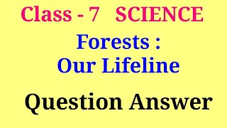 forest our lifeline class 7th question answer [upl. by Sorrows]