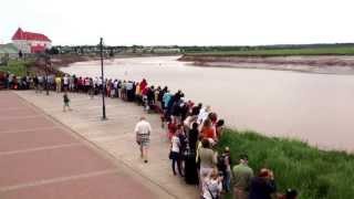 Surfers ride the Tidal Bore in Moncton  Surfeurs sur le Mascaret [upl. by Eivets93]